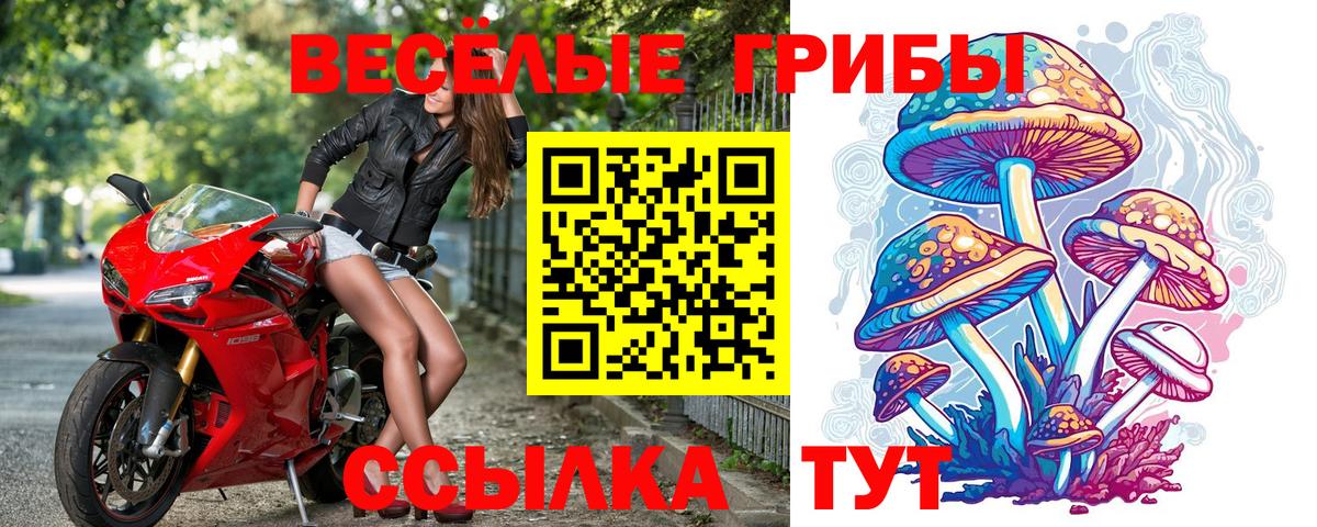 Псилоцибиновые грибы Magic Shrooms Ухта