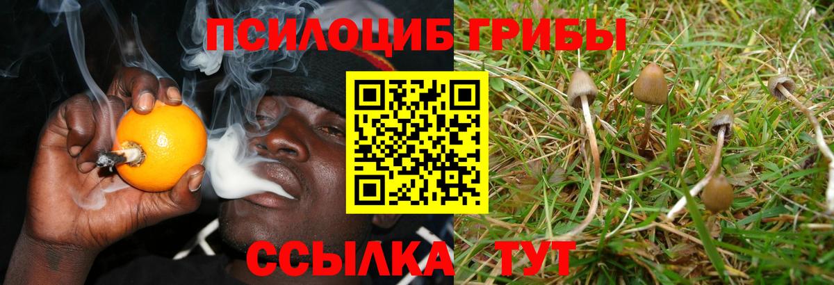 Ухта  Псилоцибиновые грибы ЛСД  Вход с VPN 
